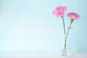 泌尿器科について